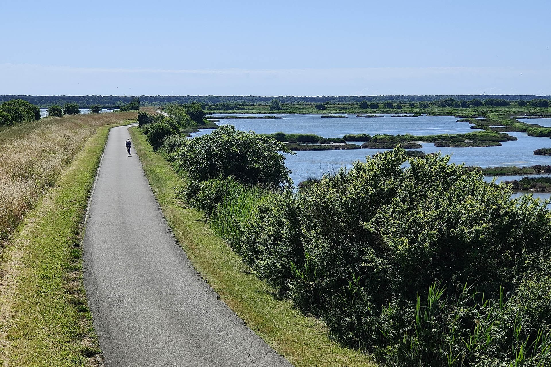 Museo Diffuso Via delle Valli: in bici nel delta del Po veneto