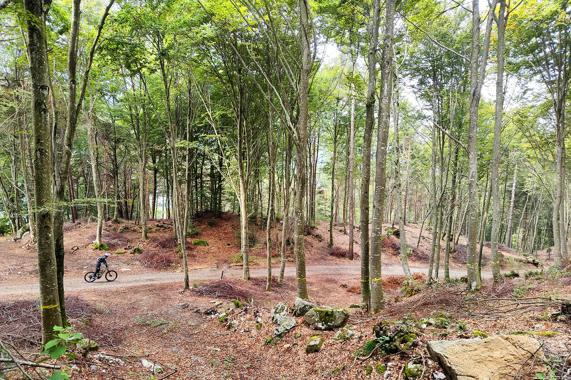 Bleggio Superiore e lago di Tenno in bici