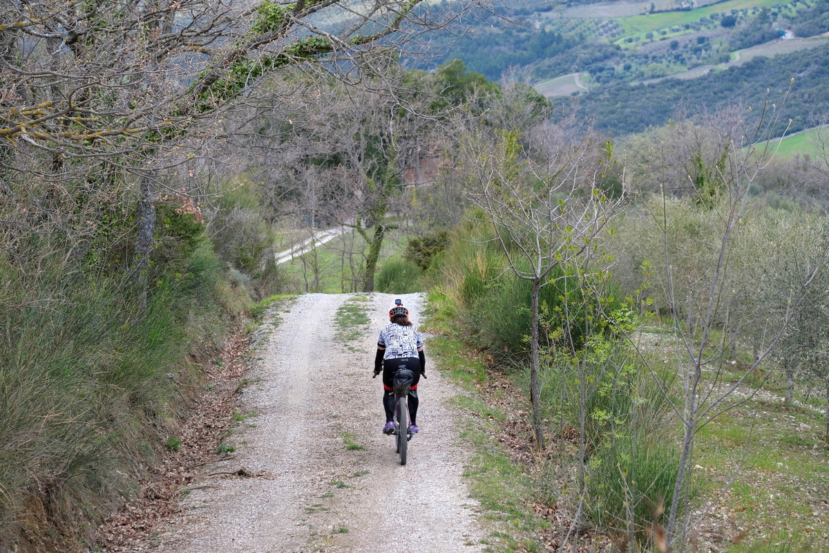 bici gravel