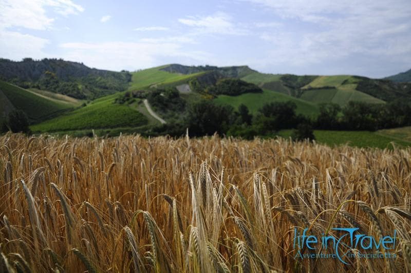 campagna romagnola