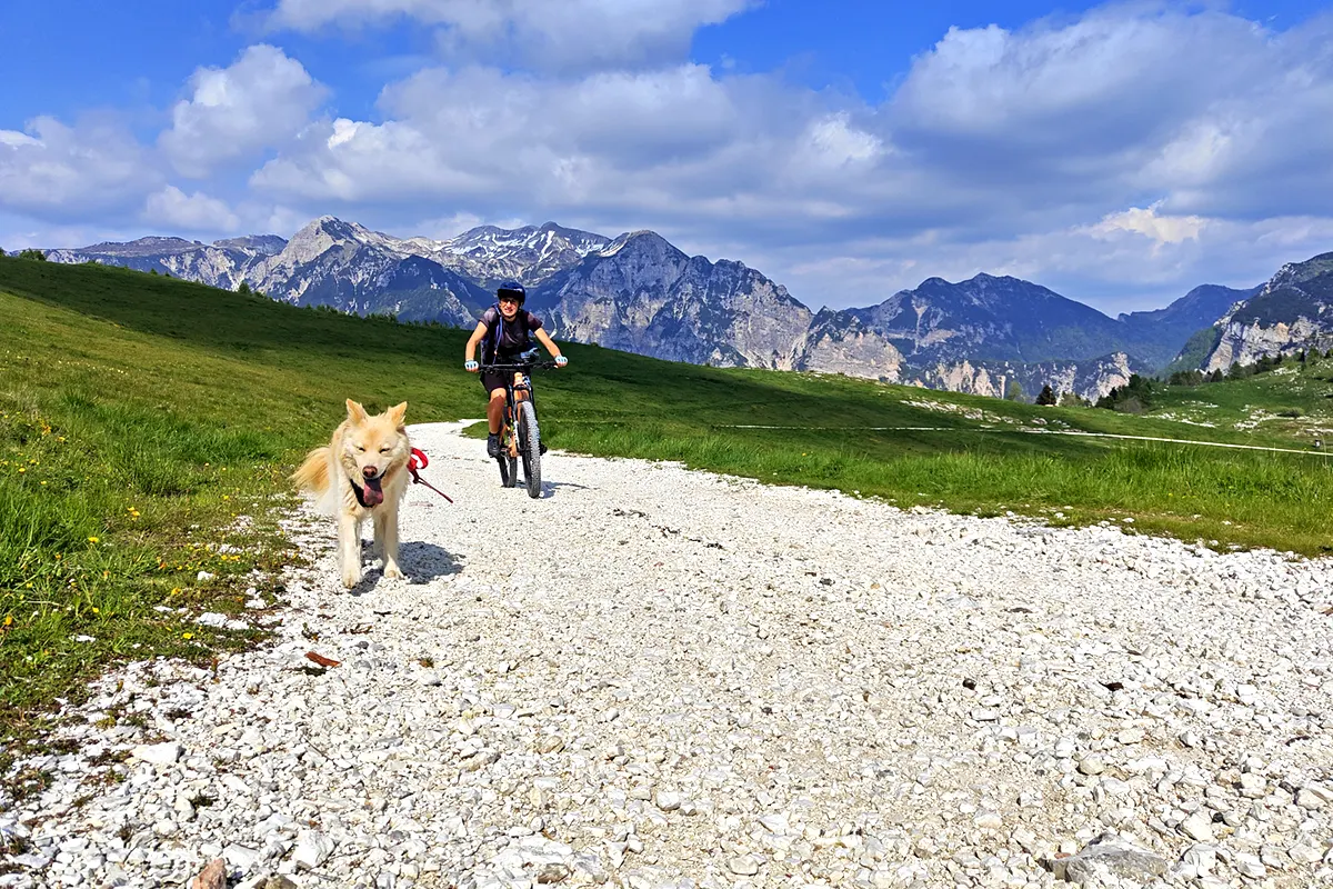 08 gravel in lessinia