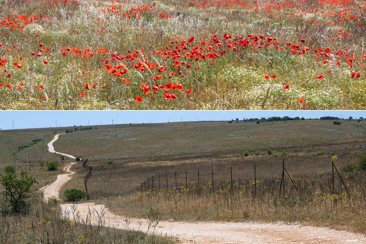 parco della mugia materana gravel