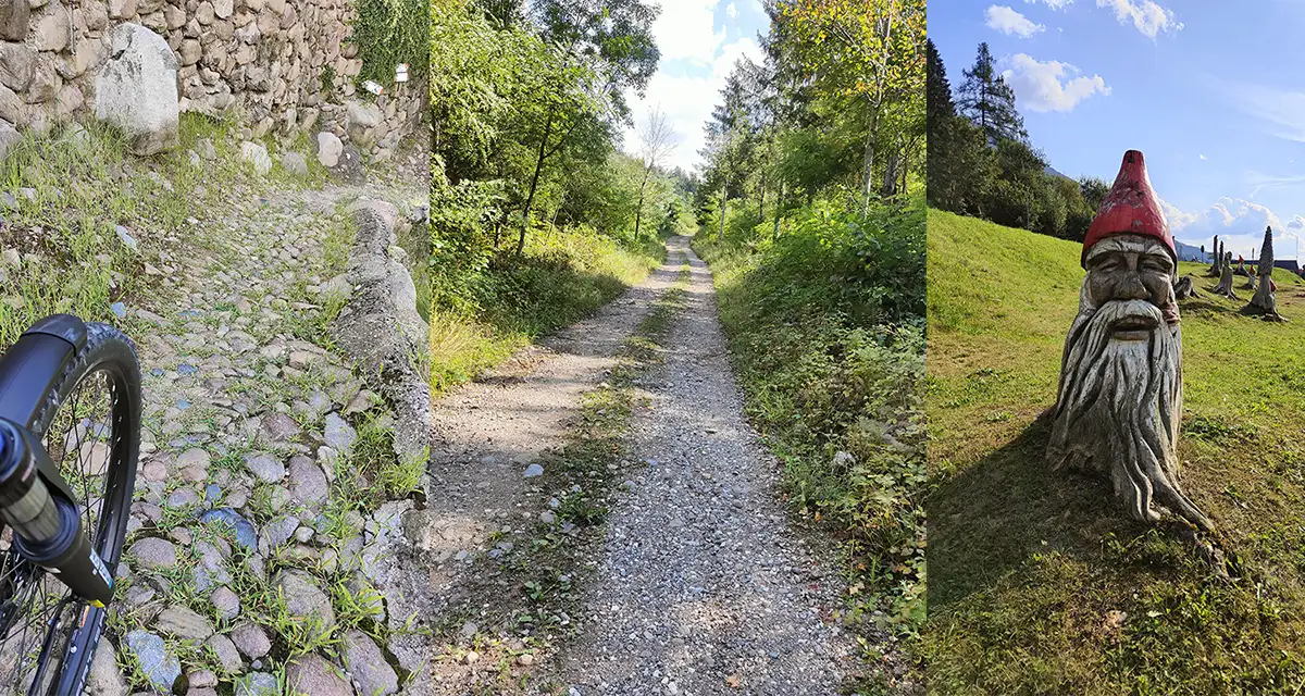 12 trentino bike trail pine