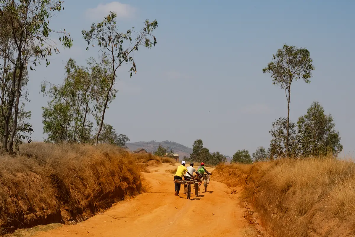 04 madagascar bici trasporto tronchi