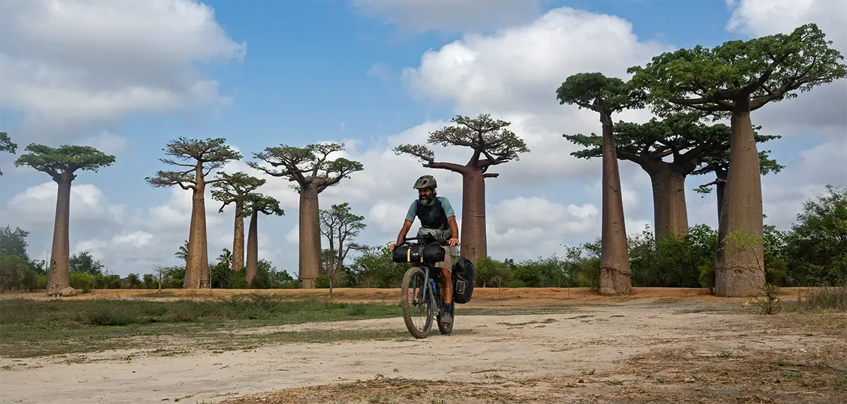 21 madagascar in bici viale dei baobab