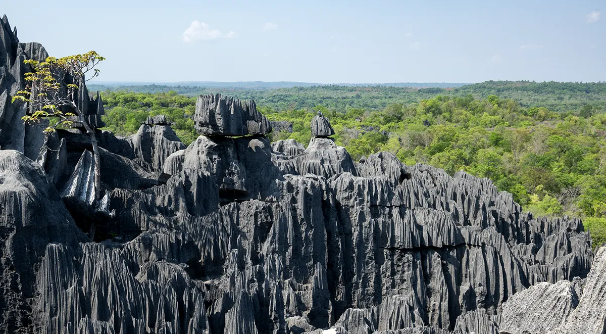 29 madagascar big tsingy