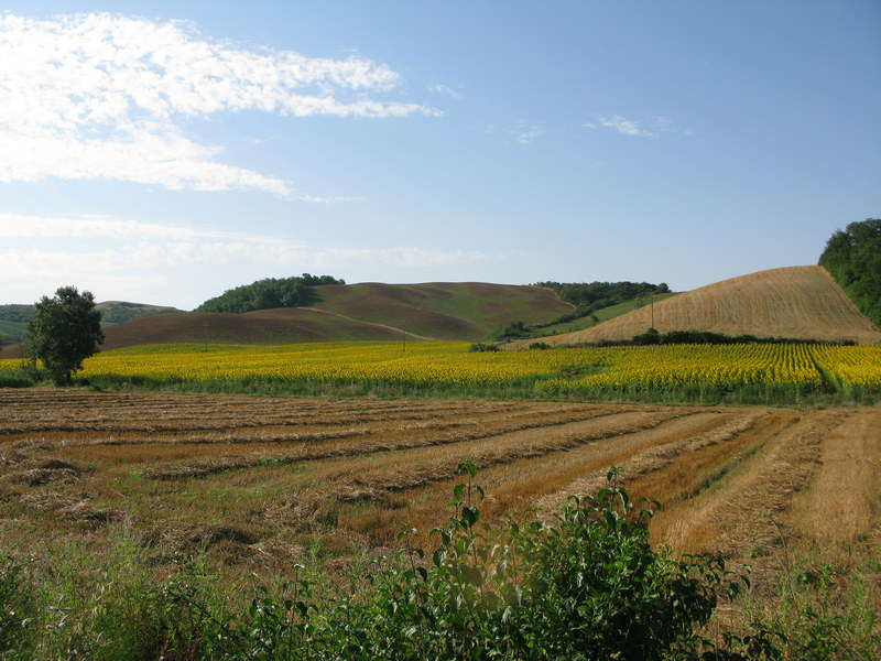 verso gubbio