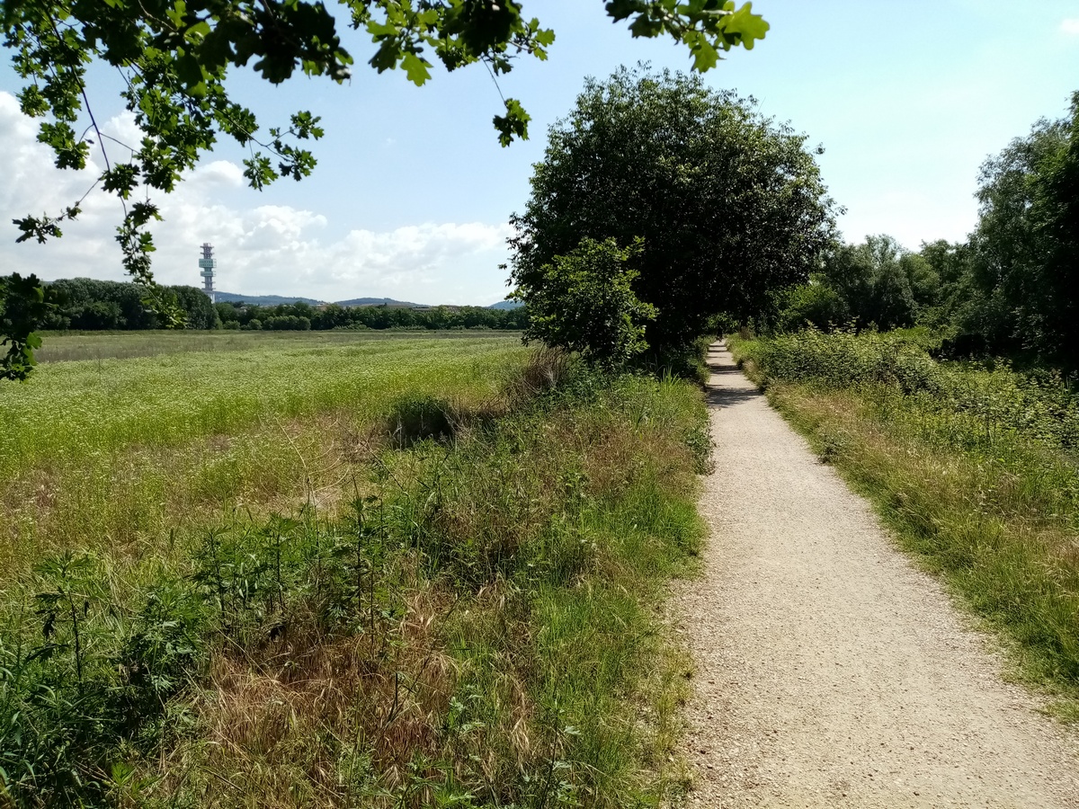 05 veneto in bici