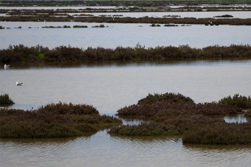 laguna venezia