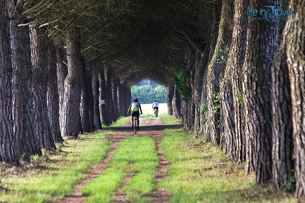 in bici a jesolo