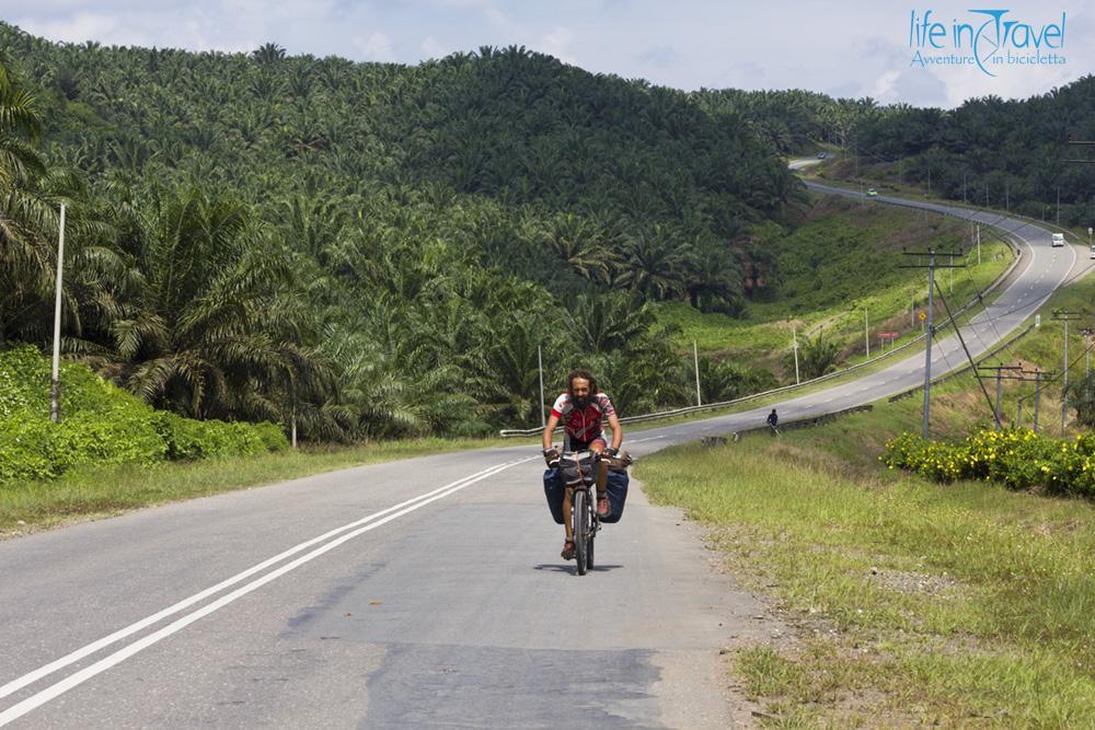 borneo in bicicletta