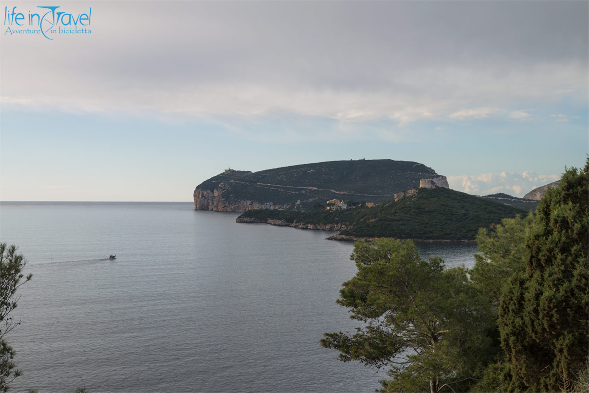 parco regionale porto conte2