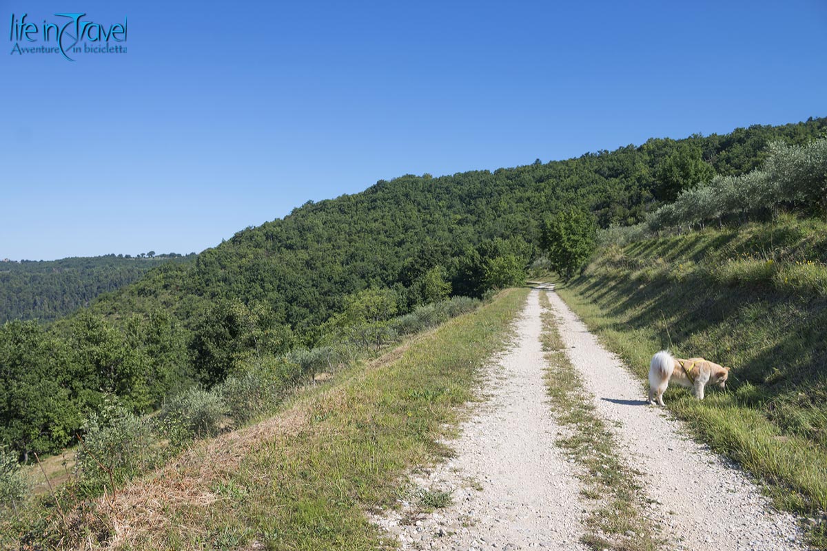 22 parenzana in bici sterrata nala