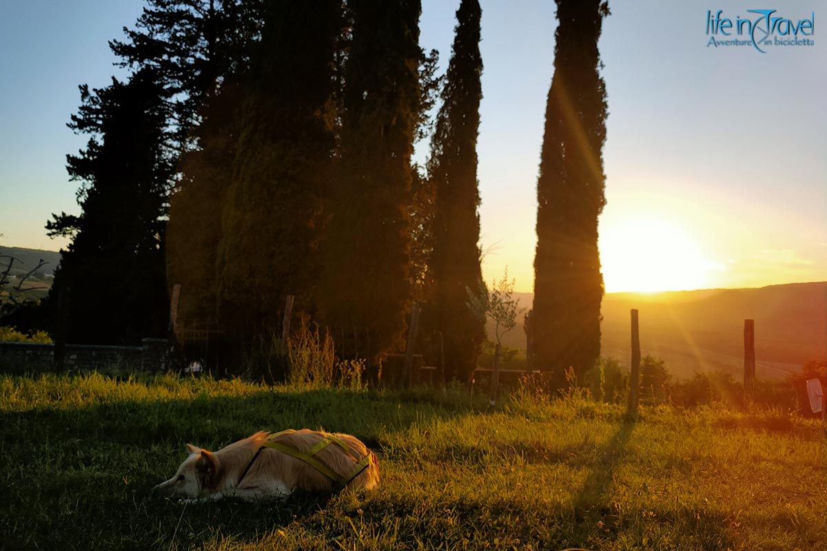 notte a motovun nala tramonto