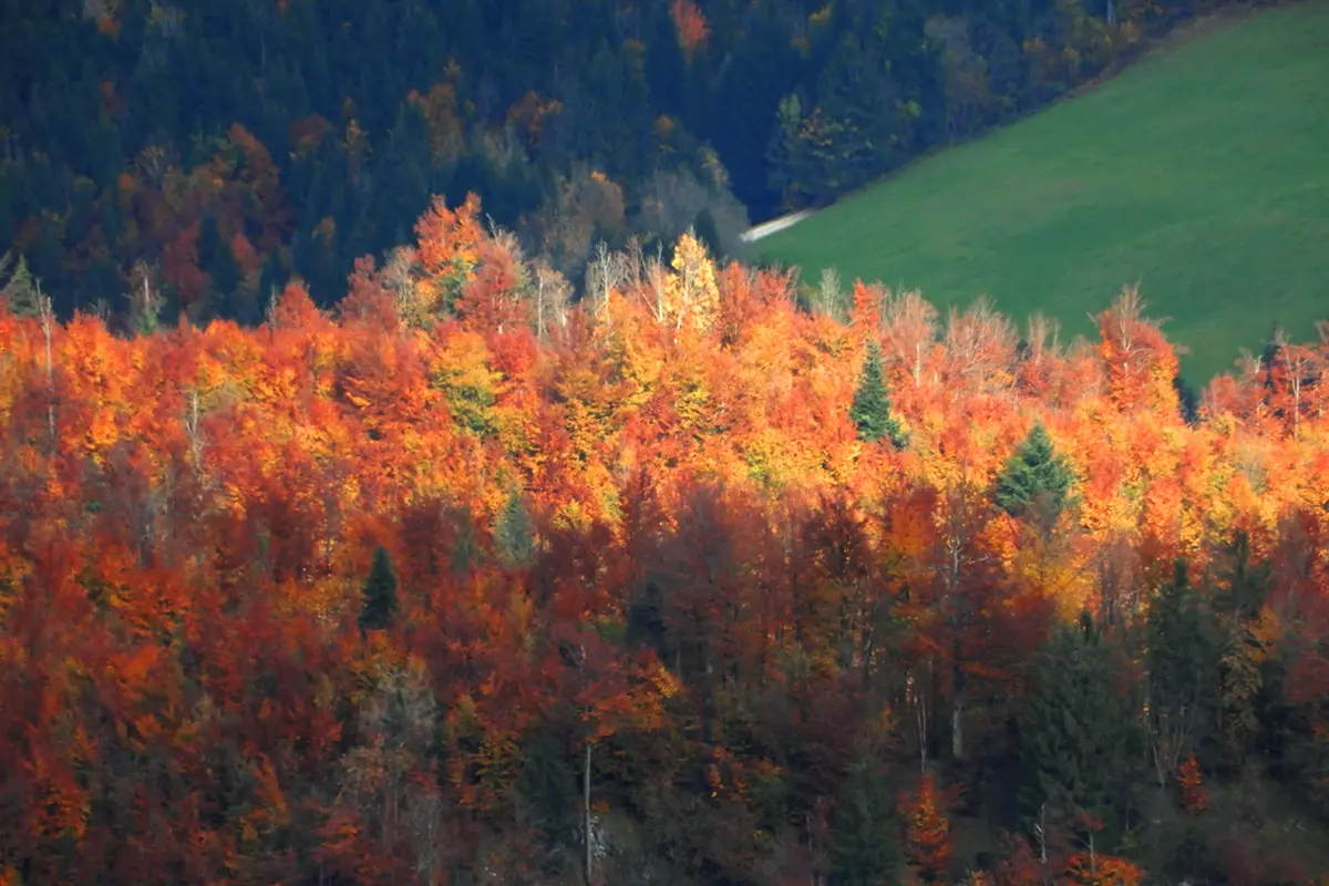 autunno sloveno