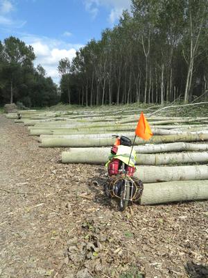 Viaggio in bici verso west