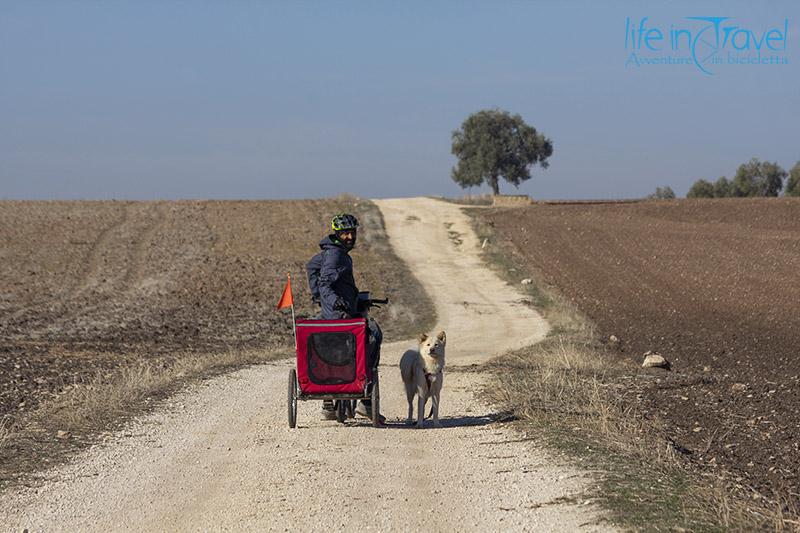 fermo nala leo diagonale