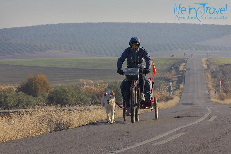 frontale in movimento leo e nala