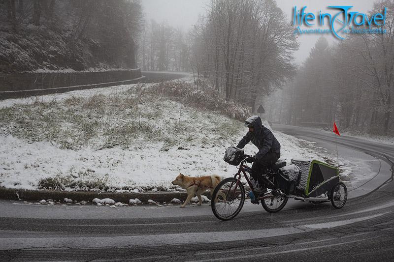 sotto la neve leo e nala