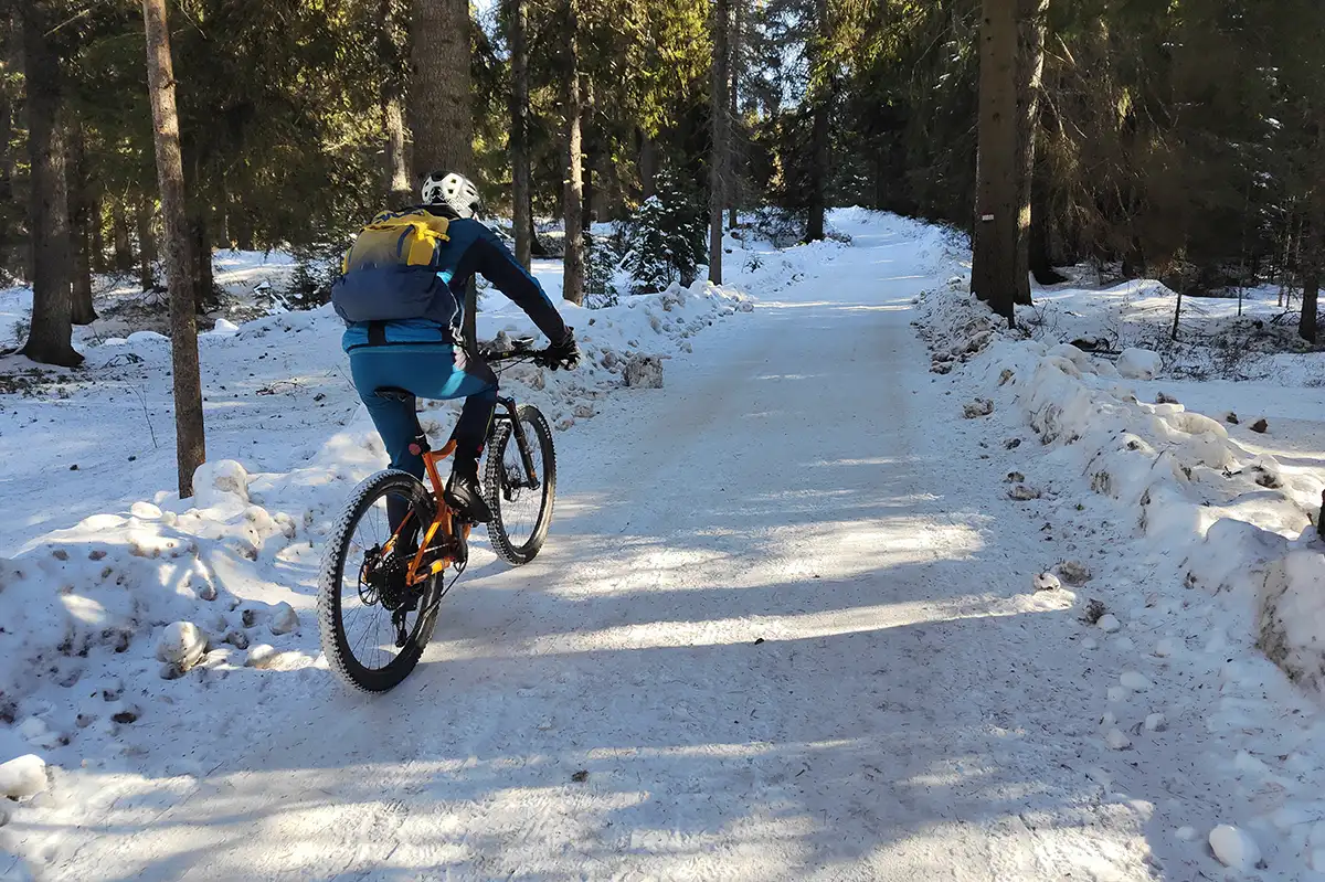 corno del renon neve bosco