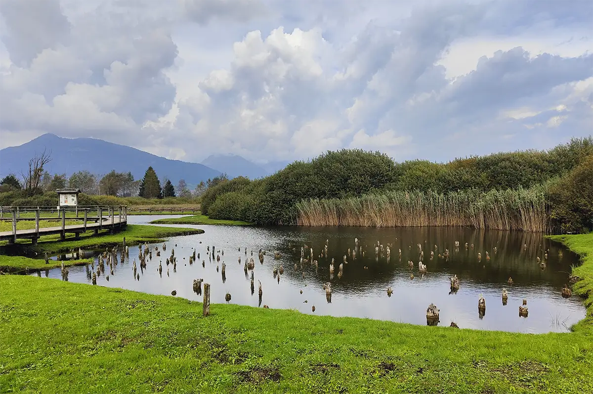 alchimia palafitte fiave