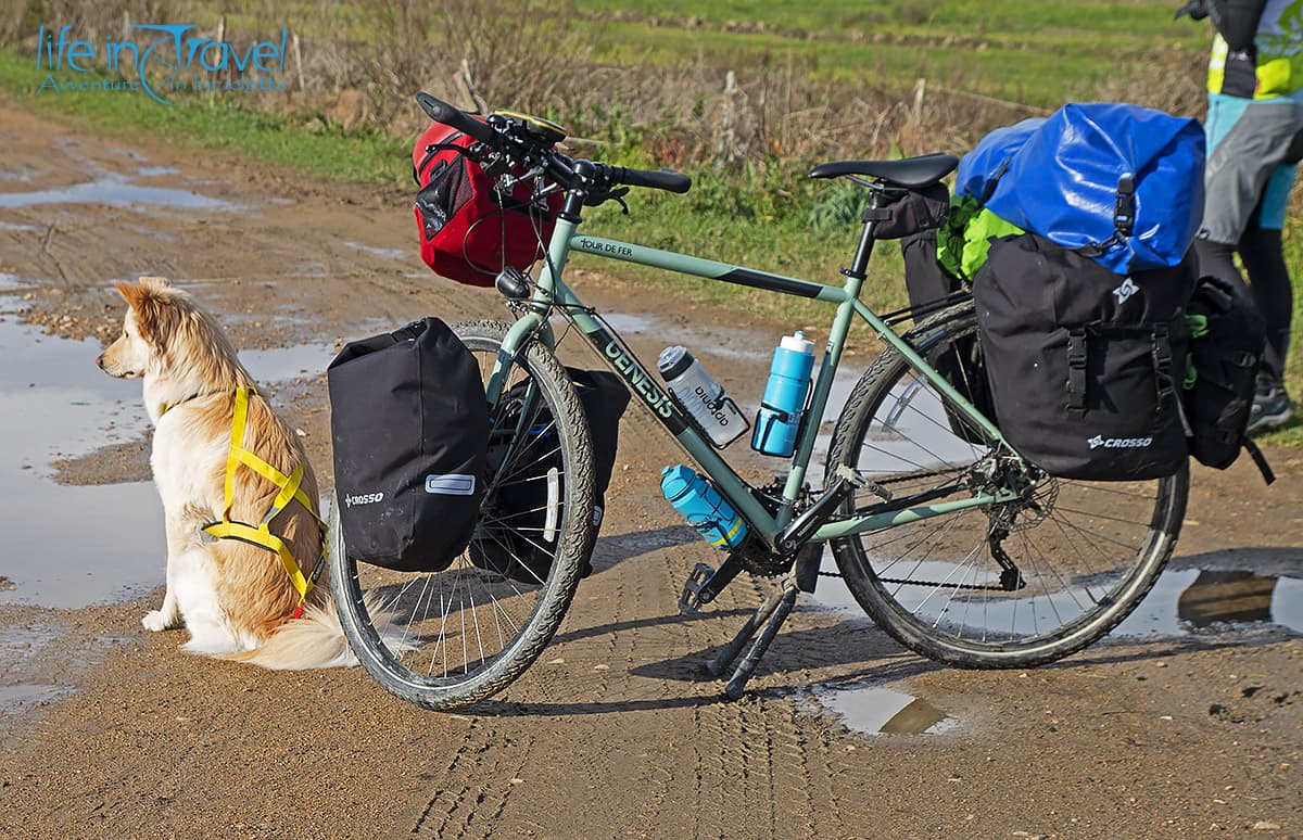 bici da viaggio genesis tour de fer 20