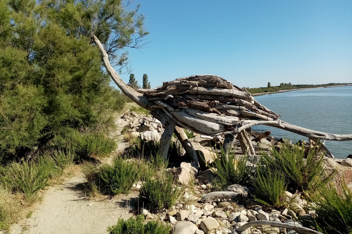 dinosauri di legno