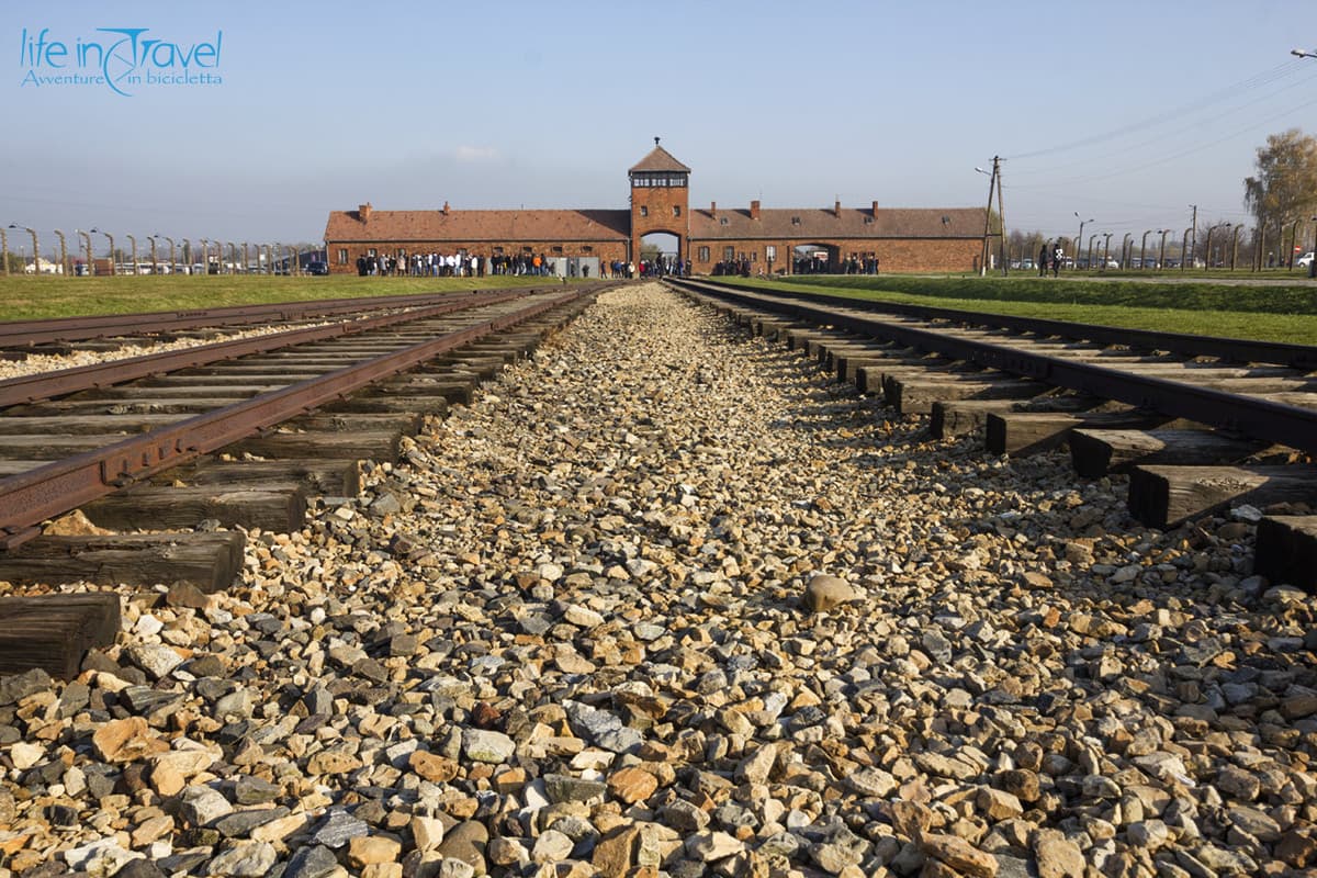 25 Auschwitz birkenau campo