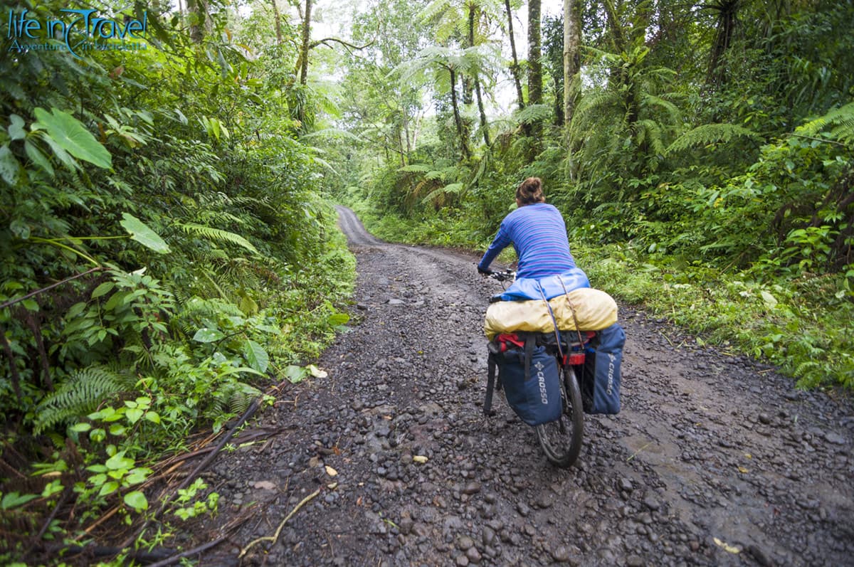 29 avventure nella giungla giava in bici