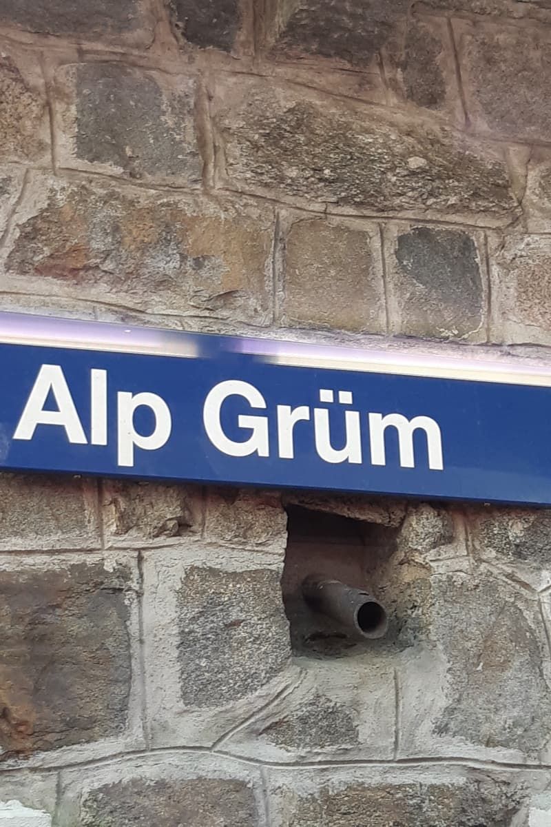 alp grum