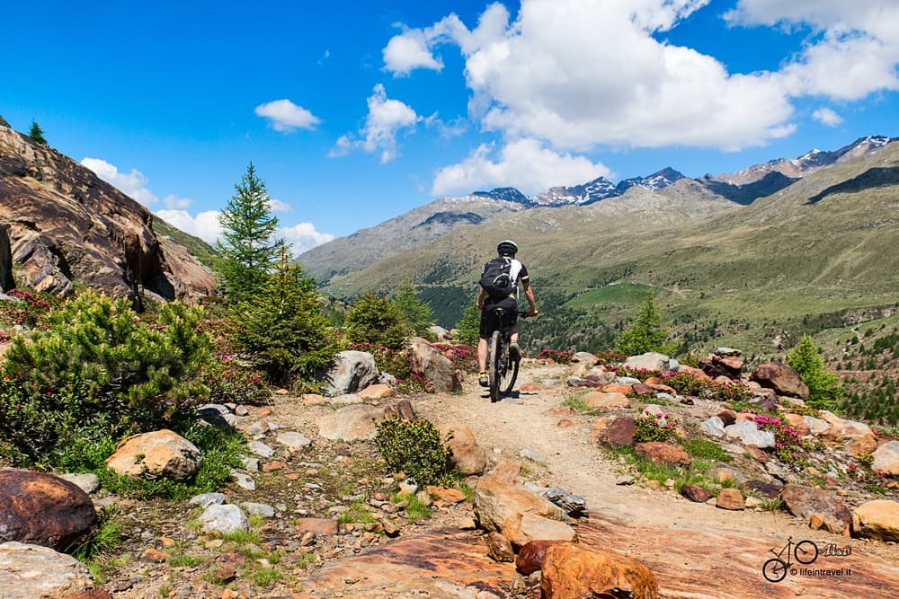 Rifugio Forni, Branca e Baita Cavallaro: MTB in Valtellina