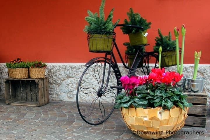 Bardolino sul lago di Garda