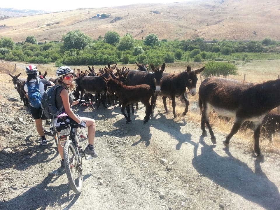 MTB Sicilia: 5 amici da Piazza Armerina ai laghetti di Marinello