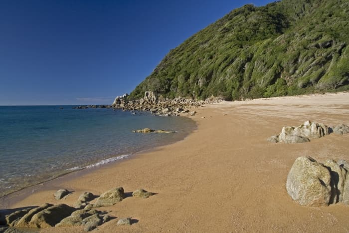 Trekking nell'Abel Tasman National Park: da Awaroa Bay a Torrent Bay