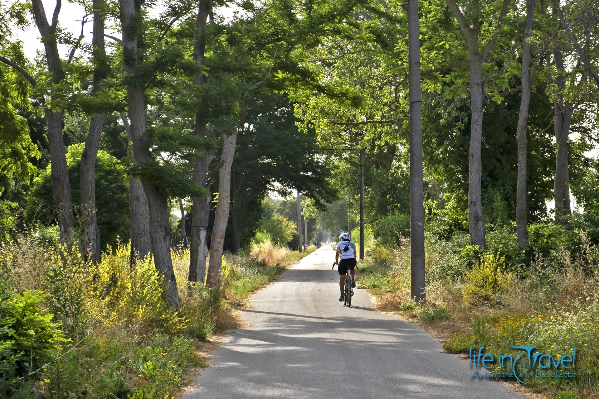 Greenways più belle d'Italia