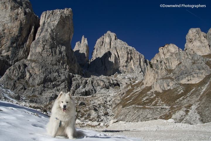 Trekking Val di Fassa: torri del Vajolet nelle Dolomiti