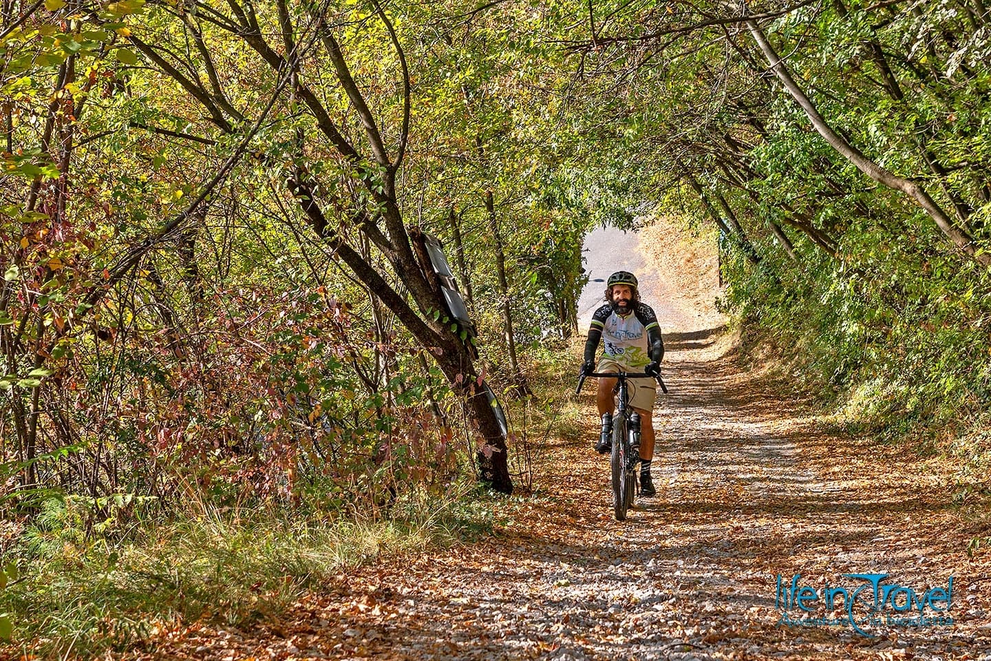 Best Gravel Bikes