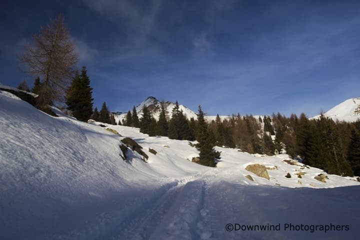 Trekking Monte Pin: salita a malga Binasia nelle Maddalene