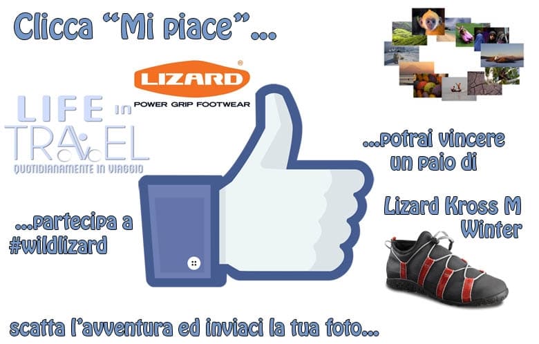 Concorso Lizard