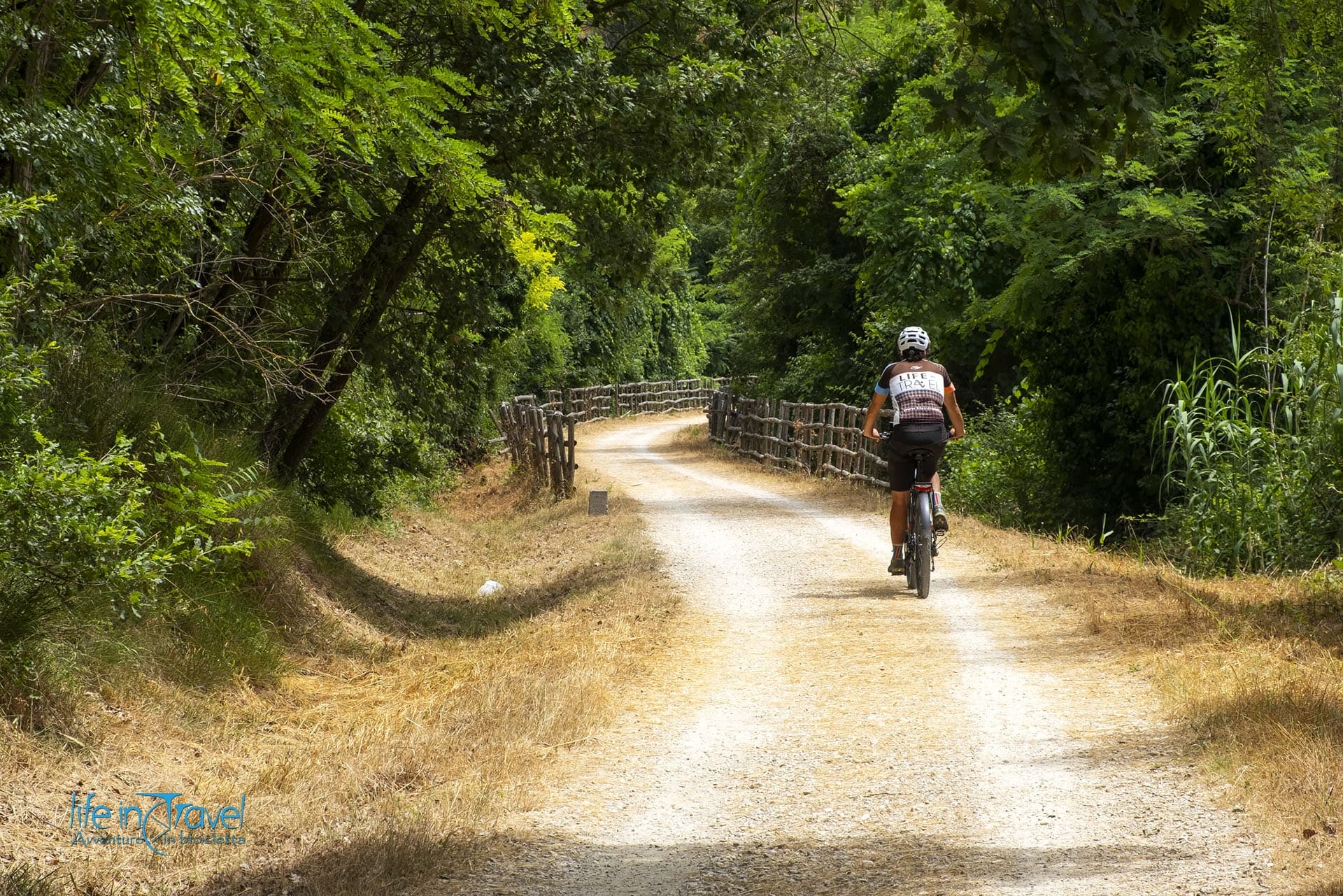 Andare in bici