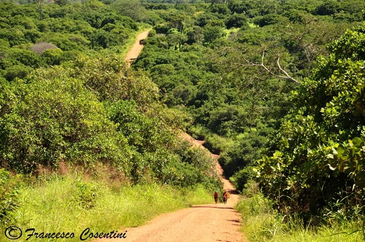 Cicloturismo in Africa