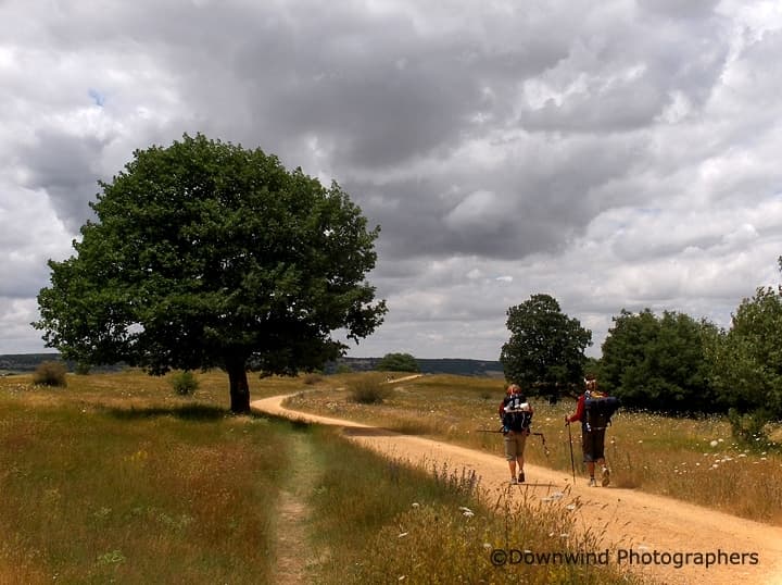 Cammino di Santiago a piedi