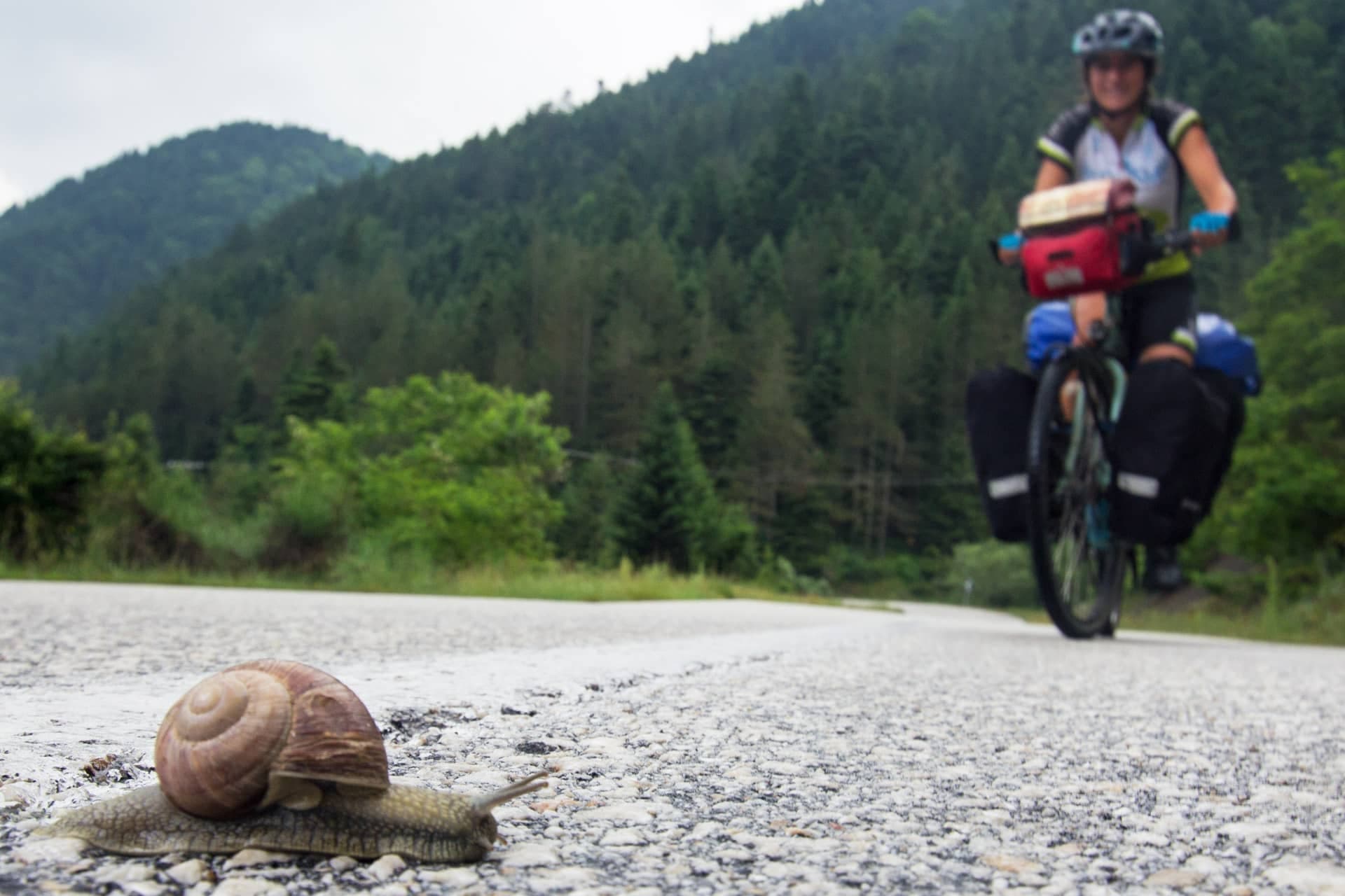 Bici da cicloturismo: migliori 17 del 2025 per viaggiare