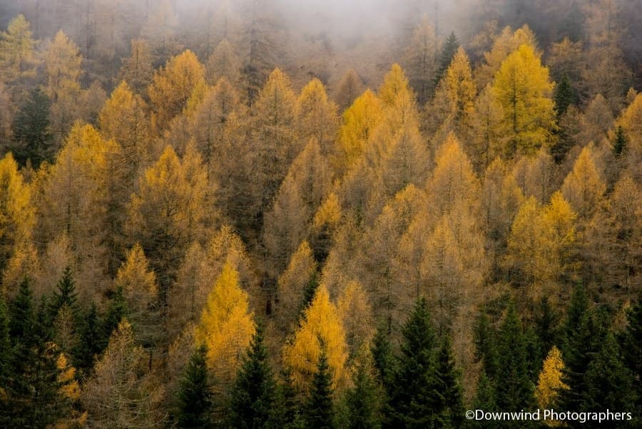 Come superare la fine dell'estate e godersi l'autunno!