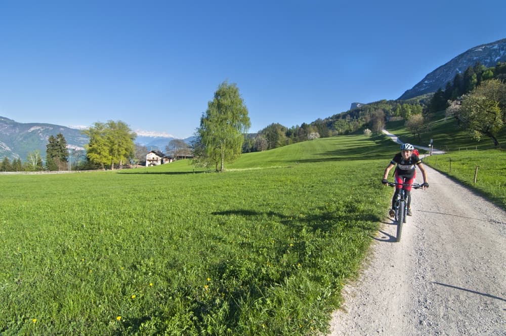 In bici tra i vigneti dell'Alto Adige