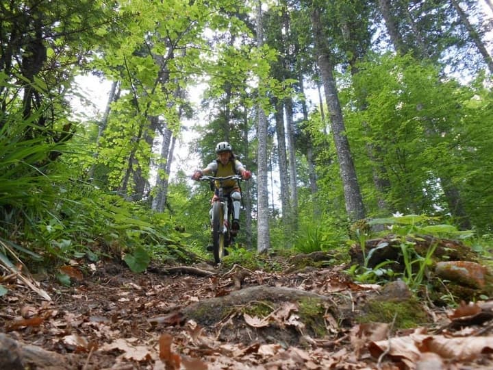 Val di Sella in MTB. L’anello dei Tre Faggi