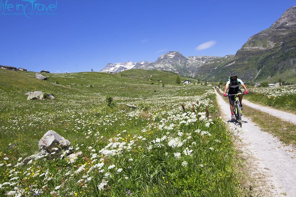 Valchiavenna in MTB