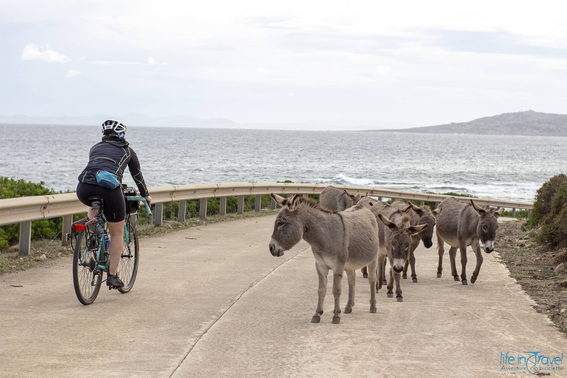 Asinara in bici