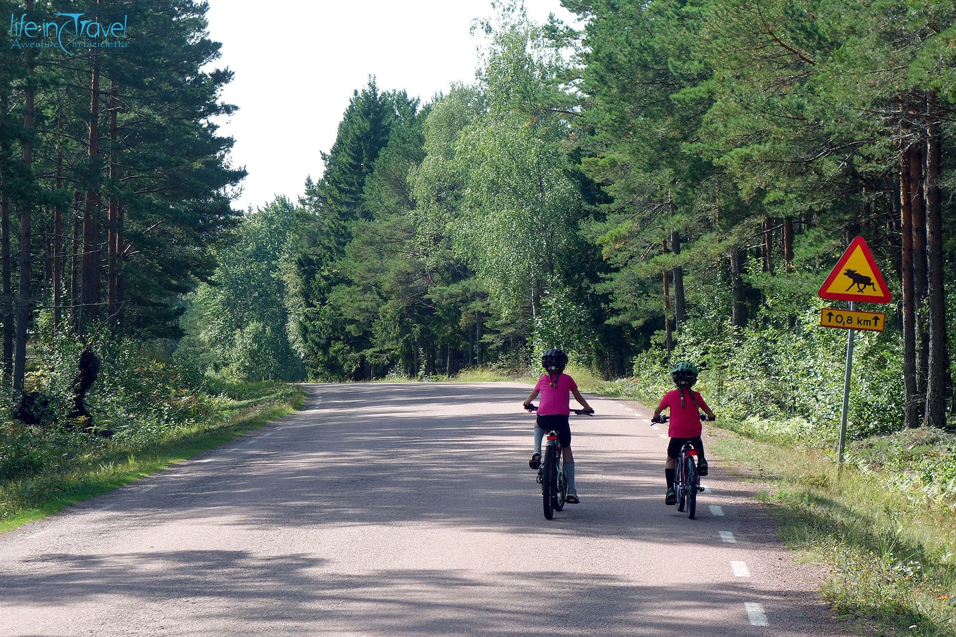 Bimbi in bici