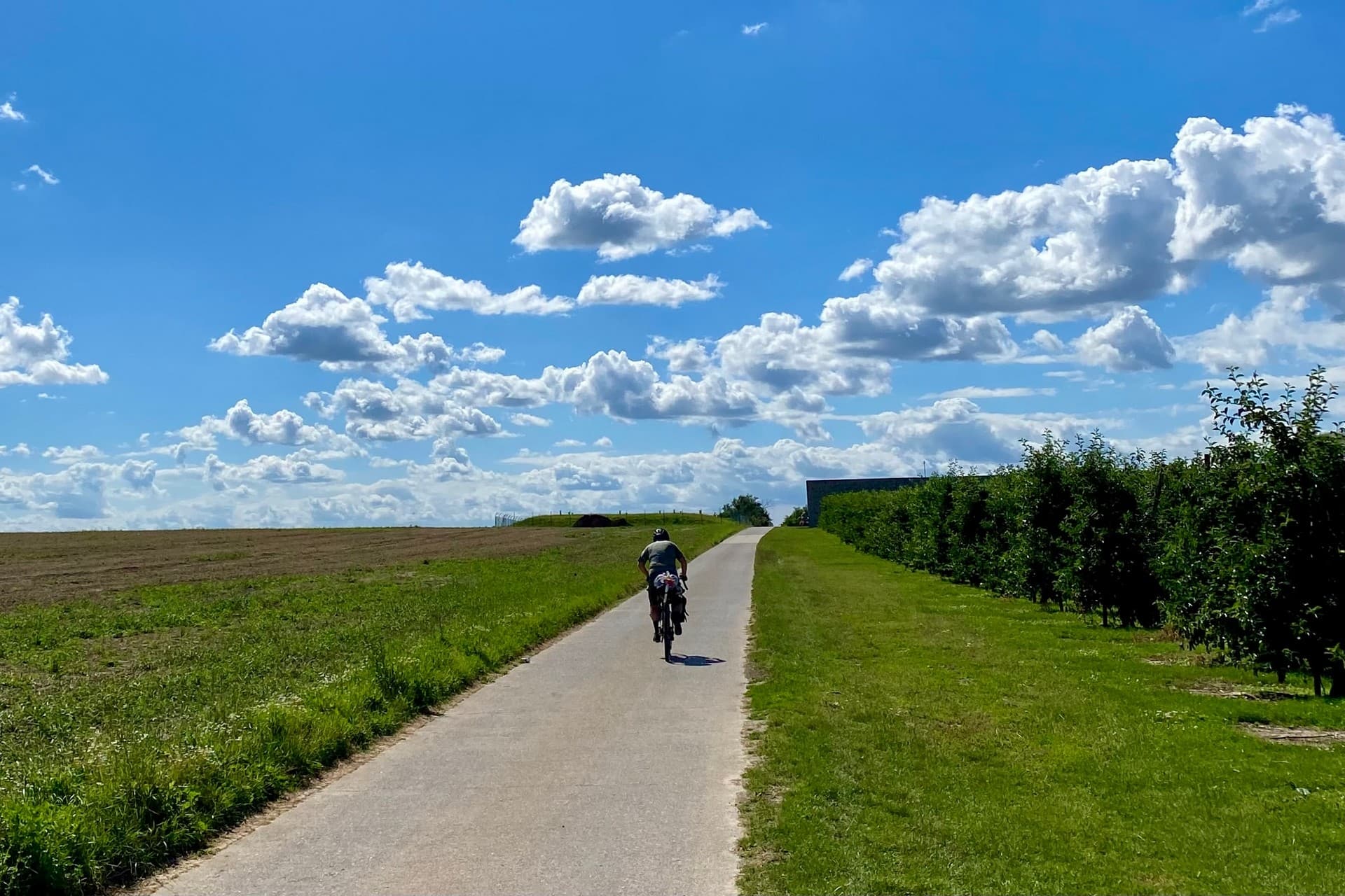 Fiandre in bici